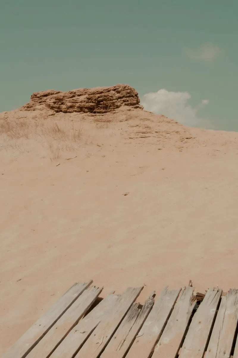 Stato d'animo del deserto carta hahnemühle da Moon  Bloom