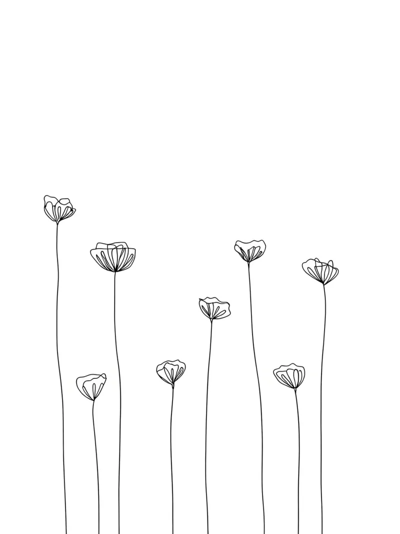 Molti fiori Line Art minimalista pellicola backlit da Viv Line Art