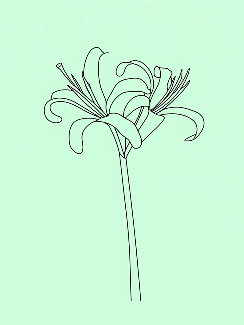 Line art minimalista del fiore di giglio pellicola backlit da Viv Line Art