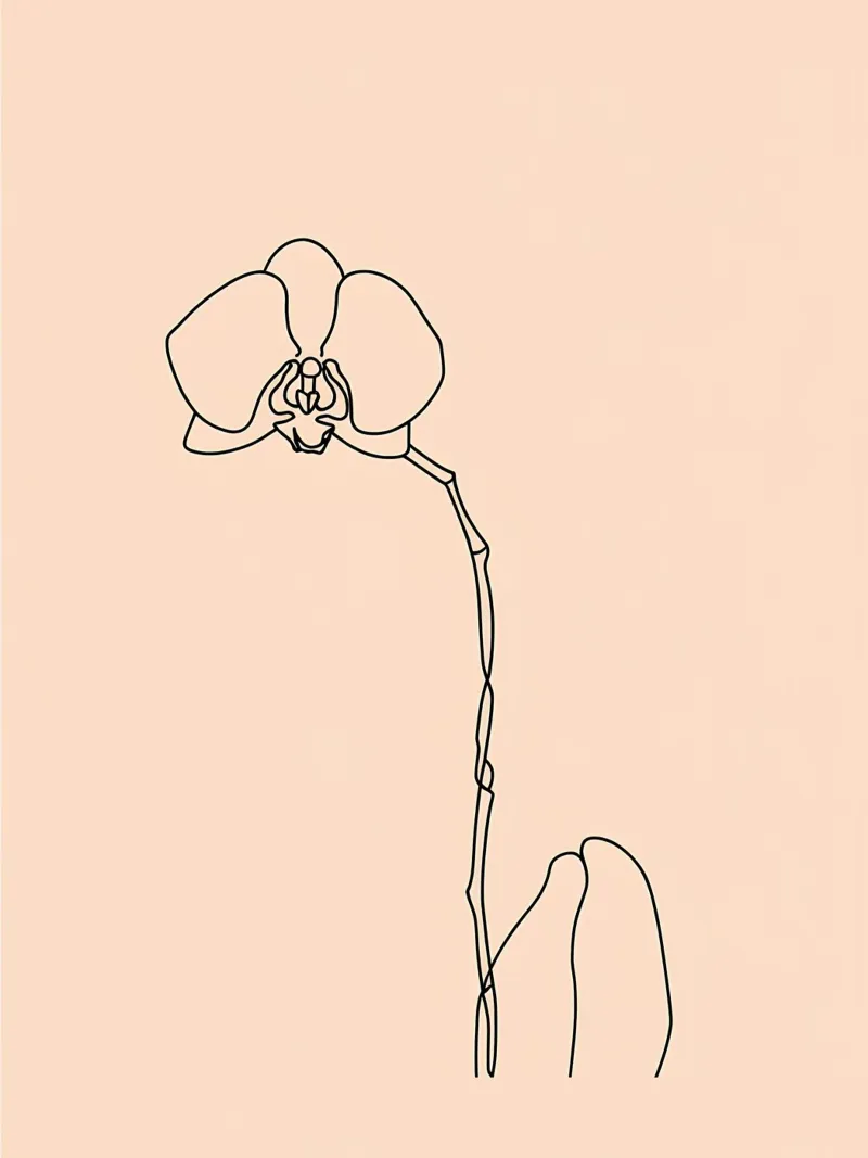 Line art minimalista del fiore di orchidea pellicola backlit da Viv Line Art