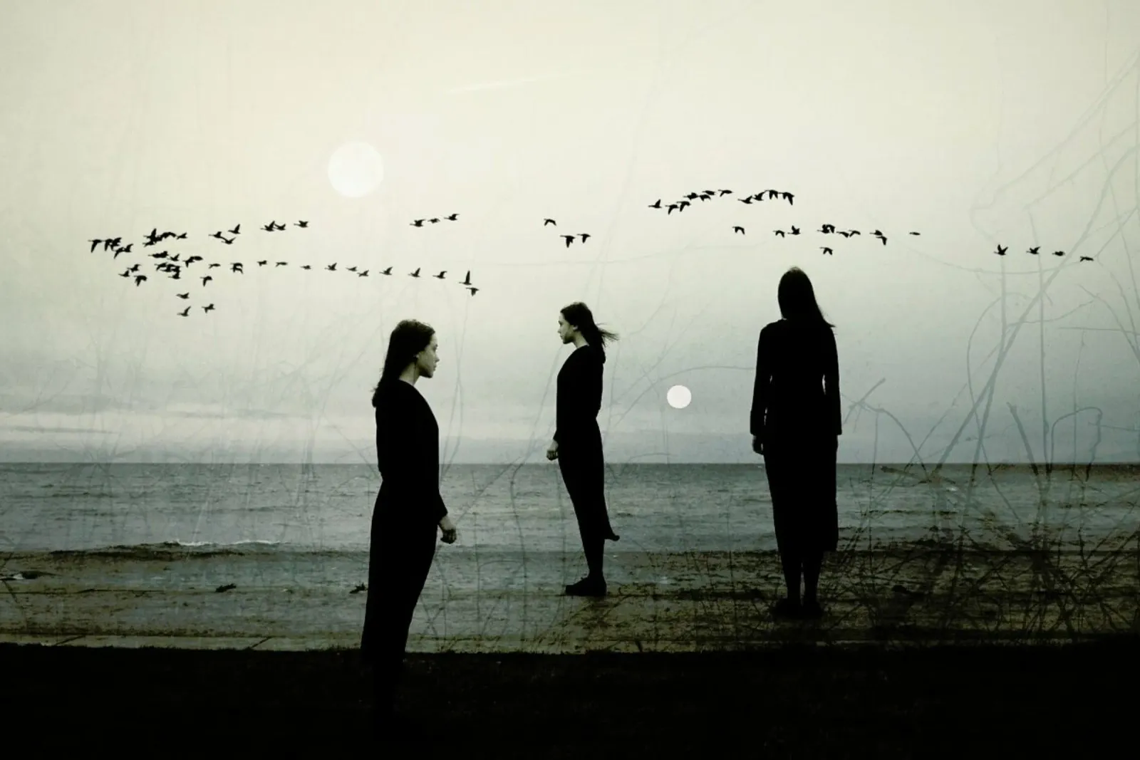 Dream State – II pellicola backlit da Elisabeth Fredriksson