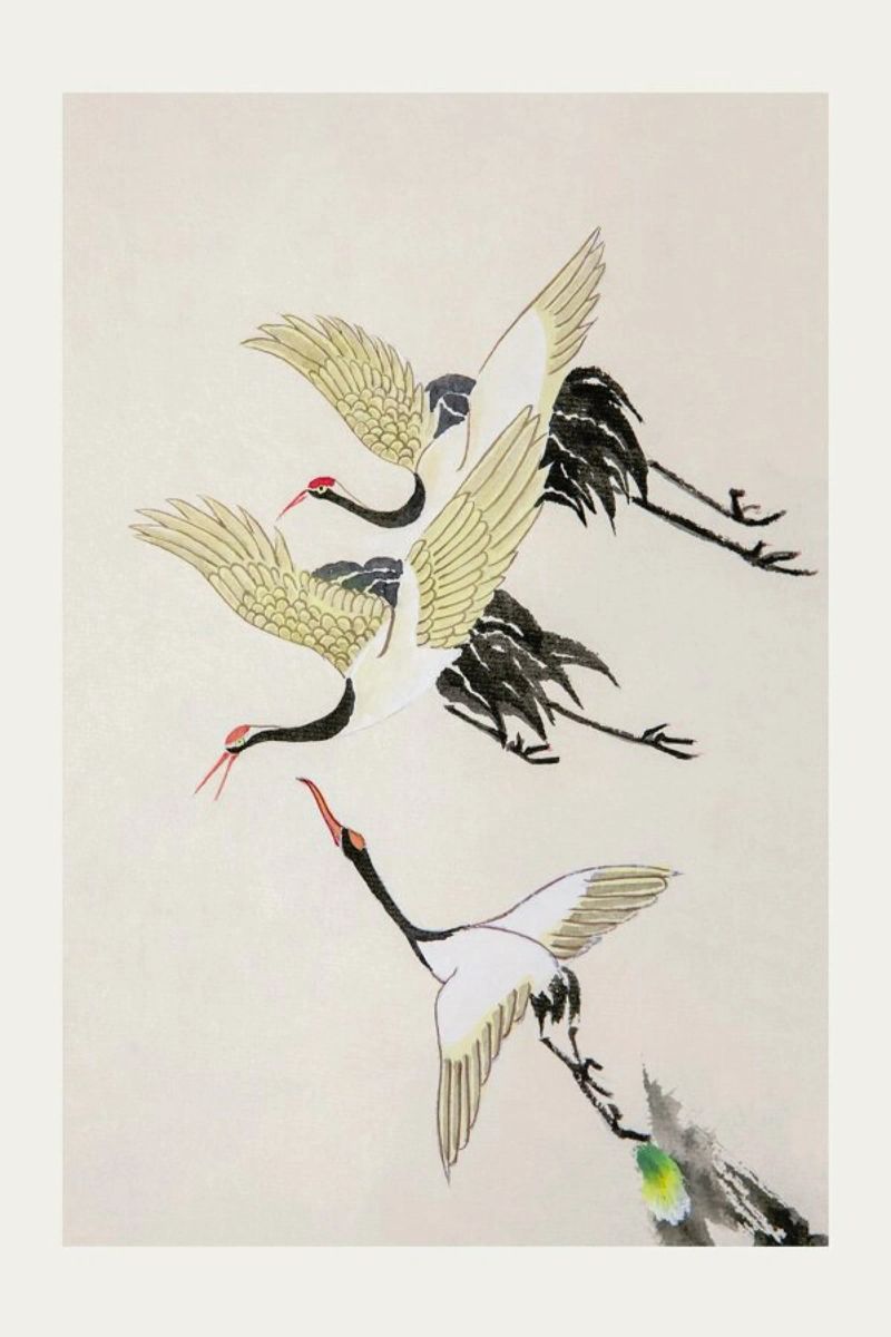 Swooping Cranes pellicola backlit da Flora & Fauna