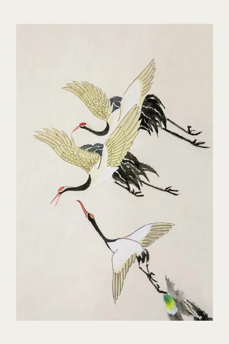 Swooping Cranes plexiglass da Flora & Fauna