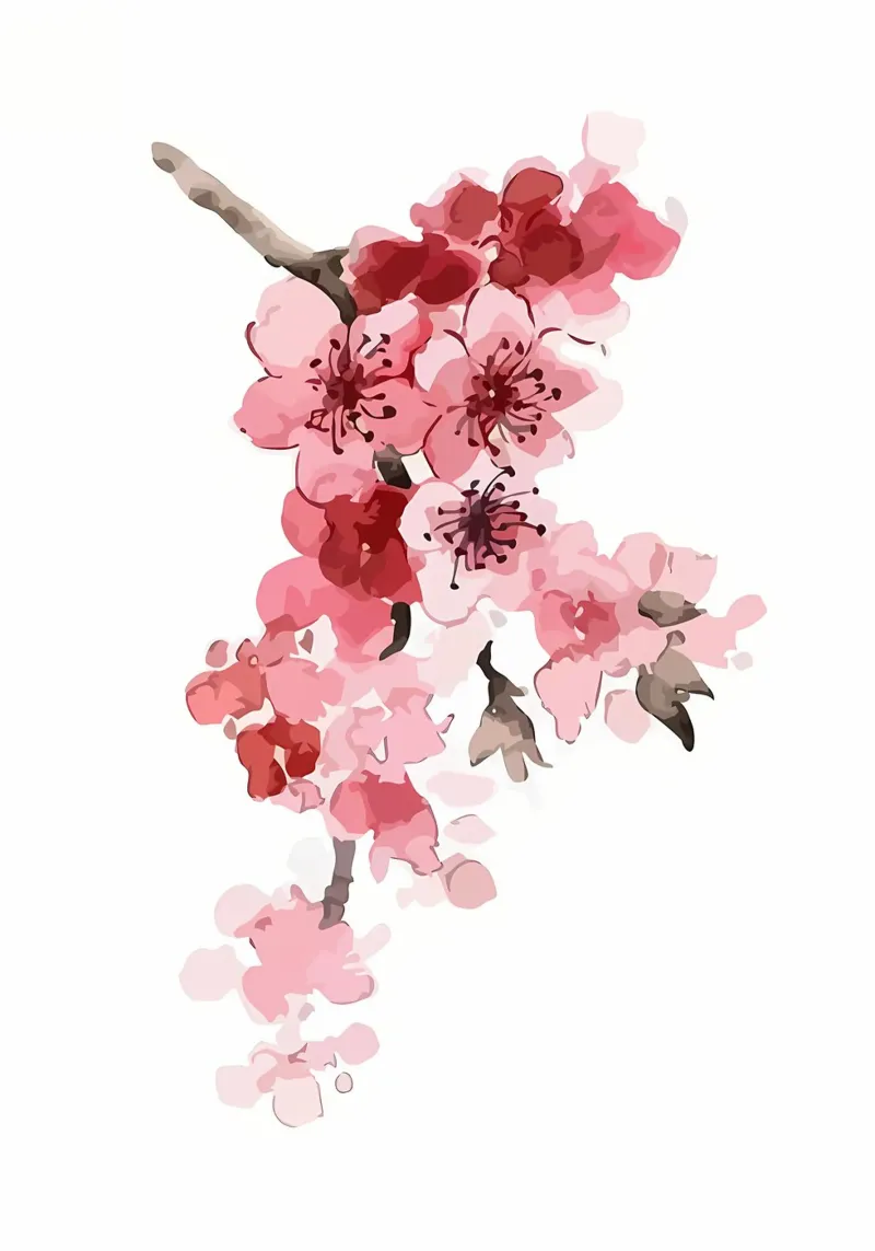 Fiori di ciliegio pellicola backlit da Rebecca Clark Wyrick