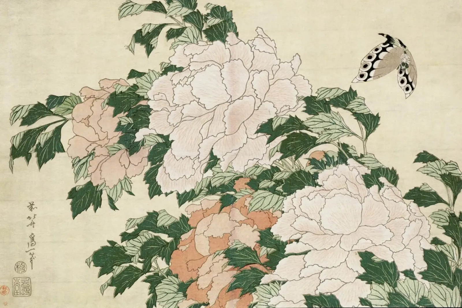 Hokusai - Pink and Red Peonies Blown to the Left in a Breeze and a Butterfly pellicola backlit da ARTOTHEK