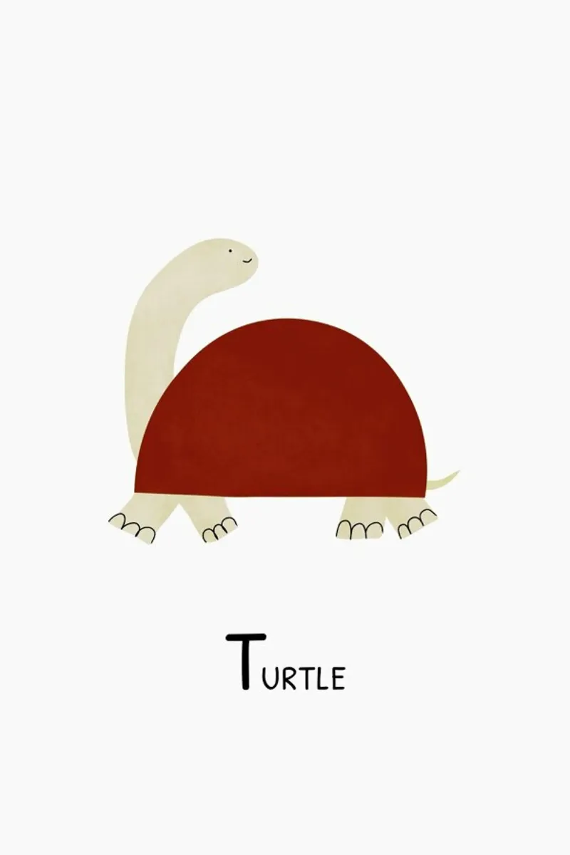 Turtle pellicola backlit da Little Flourishes