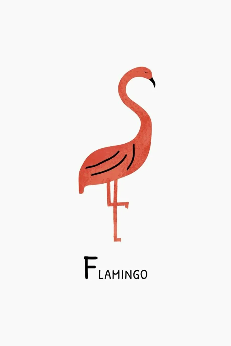 Flamingo pellicola backlit da Little Flourishes