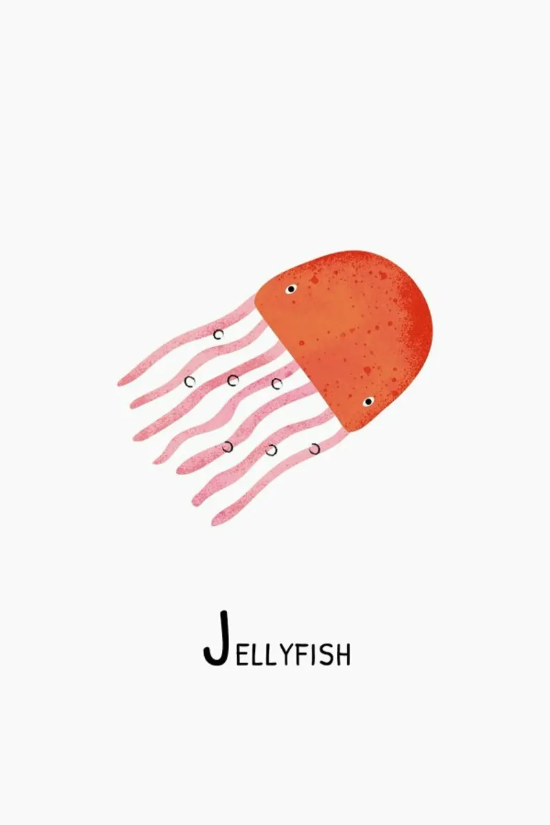 Jellyfish pellicola backlit da Little Flourishes