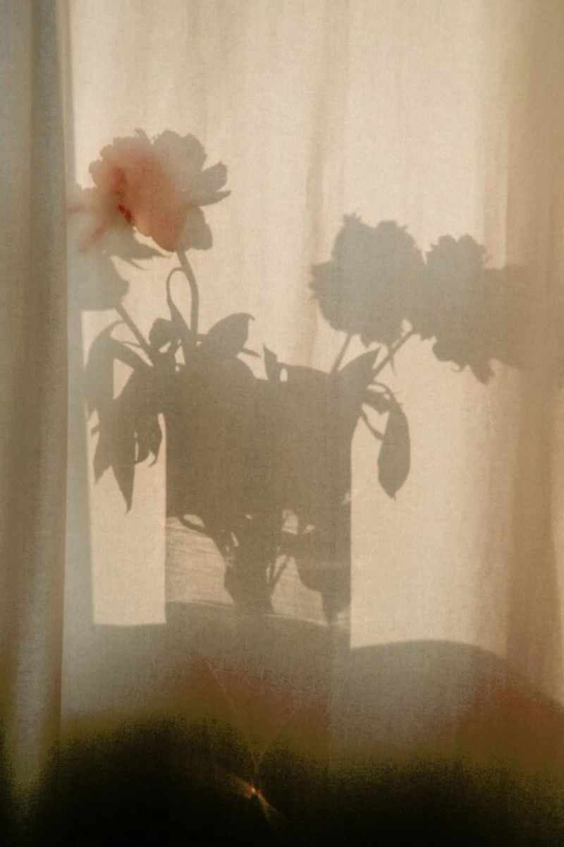 Abstract — Flower Shadow I pellicola backlit da Sebastian Hilgetag
