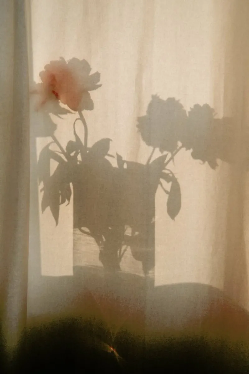 Abstract — Flower Shadow I carta hahnemühle da Sebastian Hilgetag