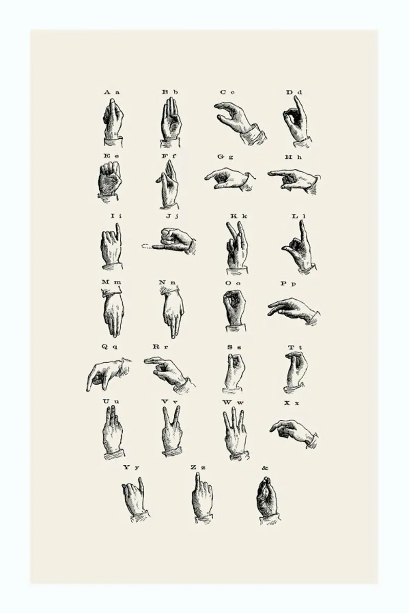 Vintage Sign Language Chart pellicola backlit da Flora & Fauna