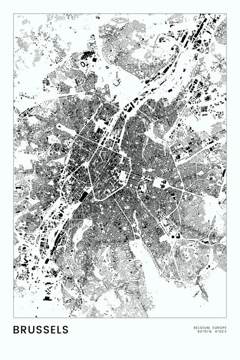 Brussels hahnemühle by The Cartography Collection