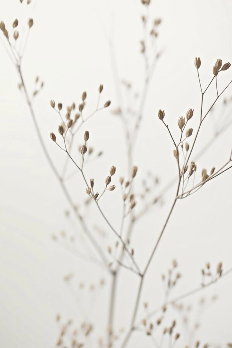 Wild Flower Natural Beige 1 poster de Monika Strigel