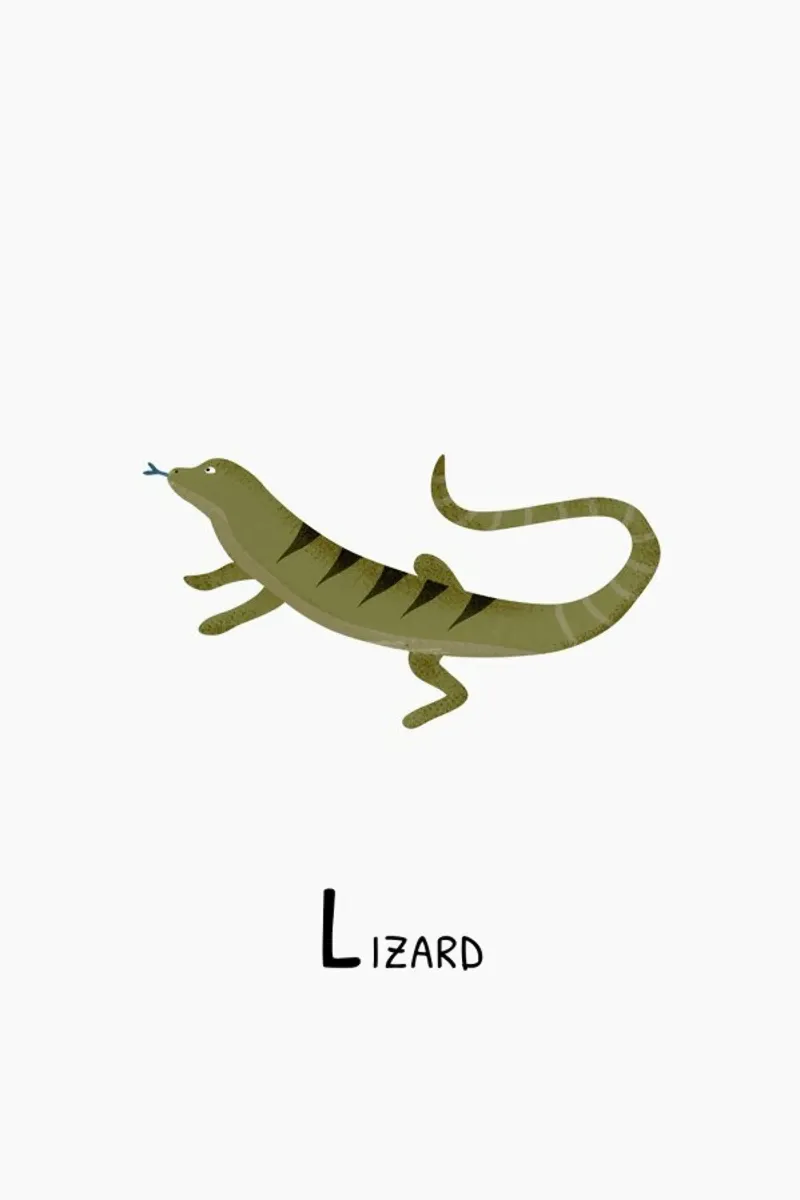 Lizard plexiglass da Little Flourishes