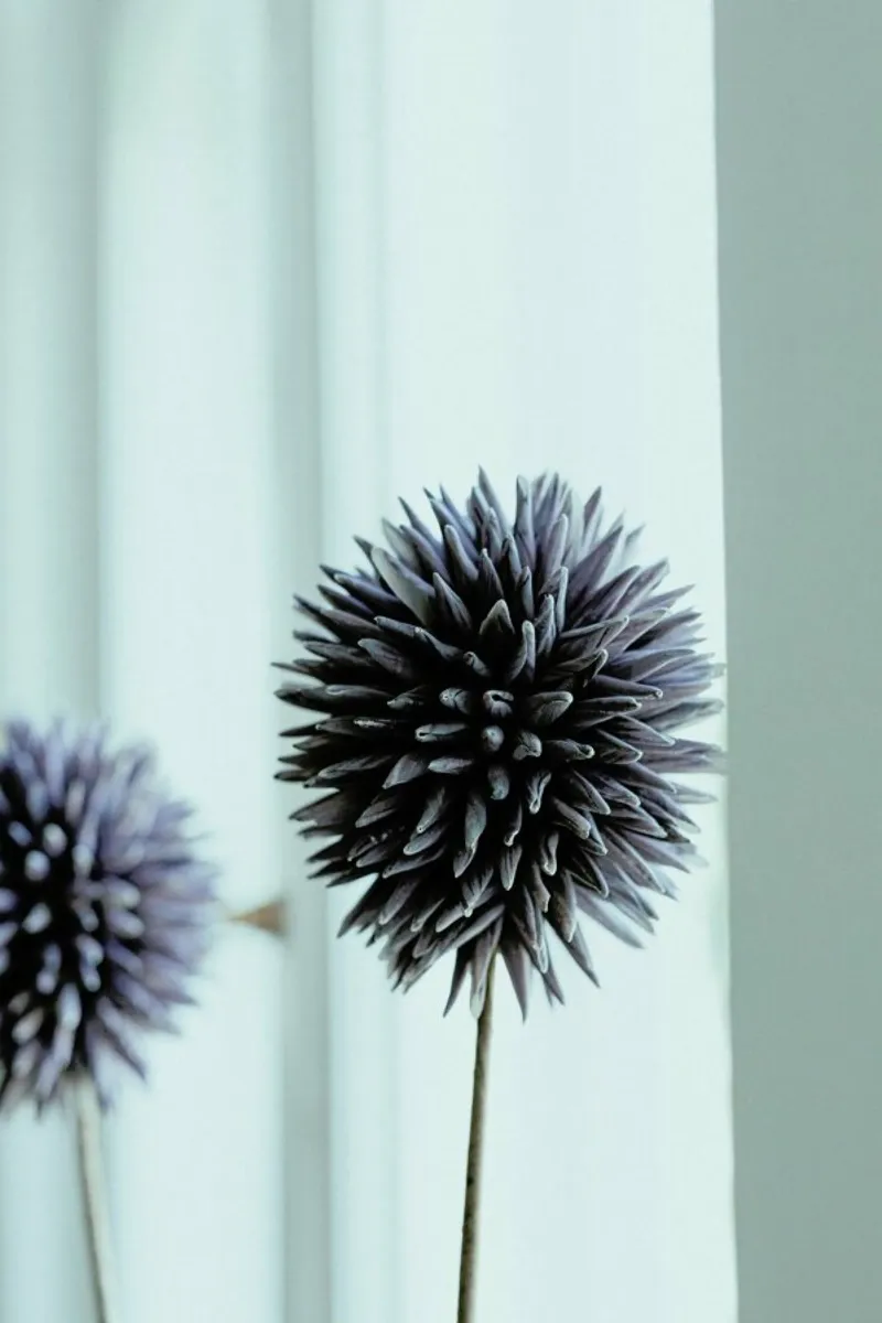 Abstract Flower Shape pellicola backlit da Sebastian Hilgetag