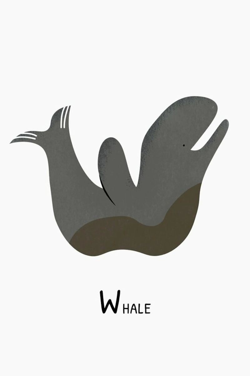 W for Whale poster van Little Flourishes