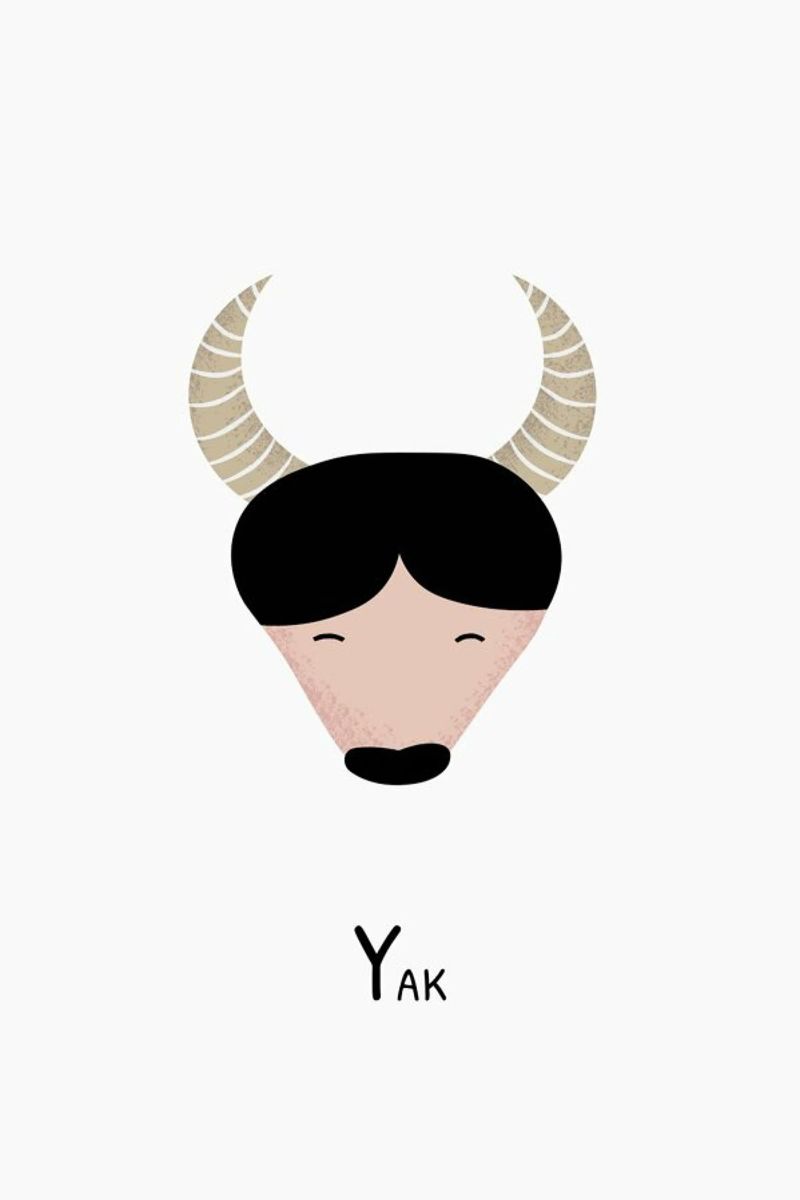 Y for Yak alluminio dibond da Little Flourishes