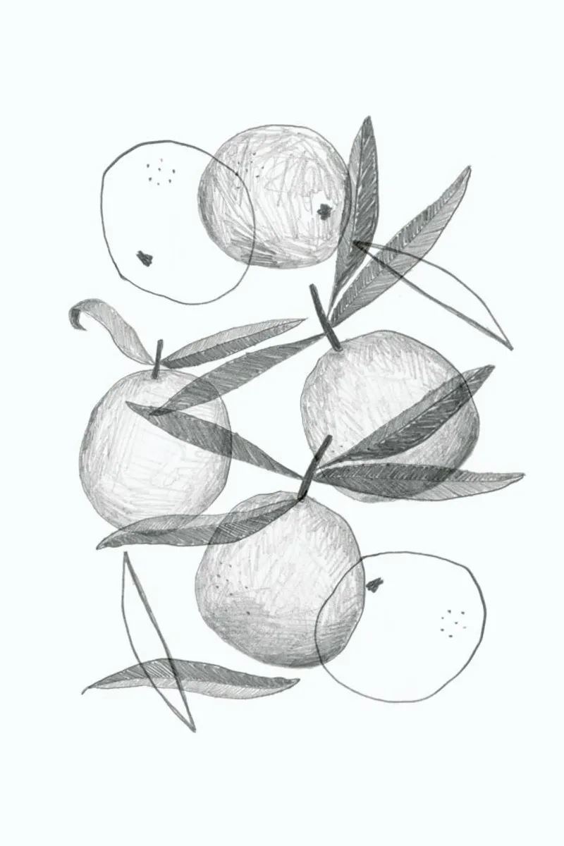 Clementines carta hahnemühle da typealive