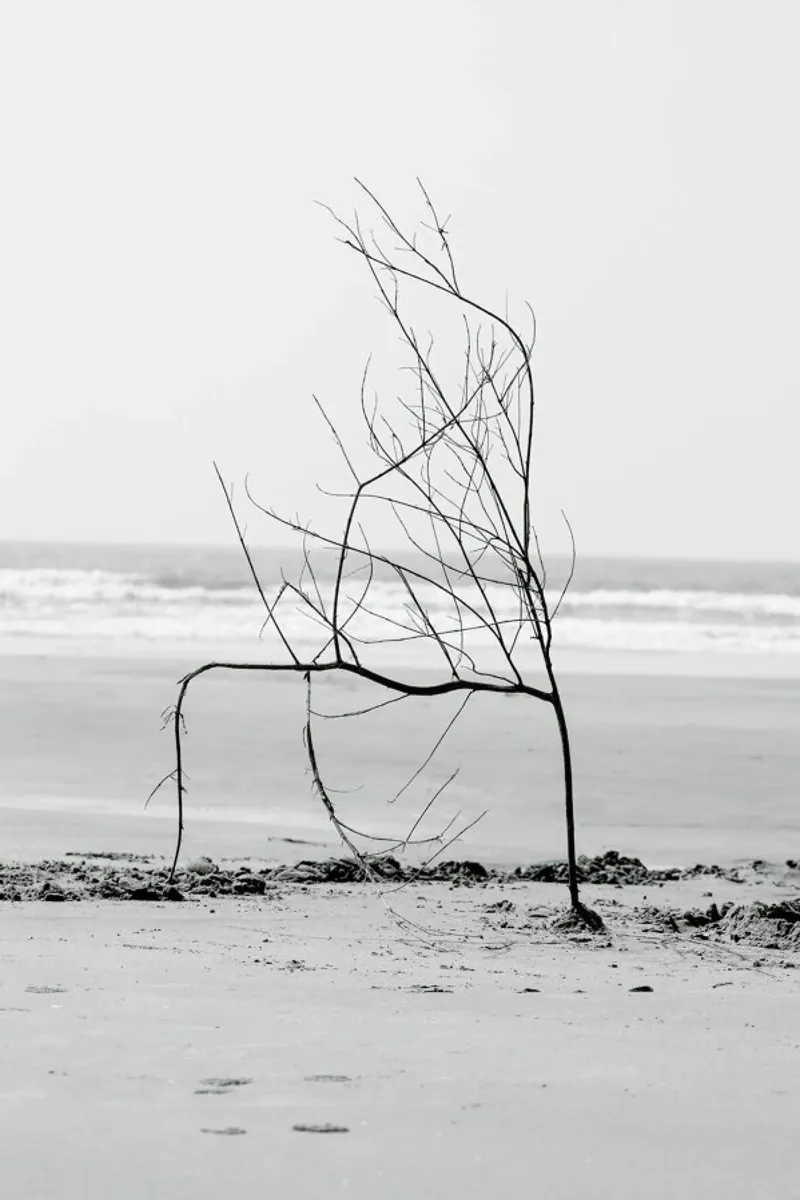 Beach Sculpture pellicola backlit da Victoria Frost