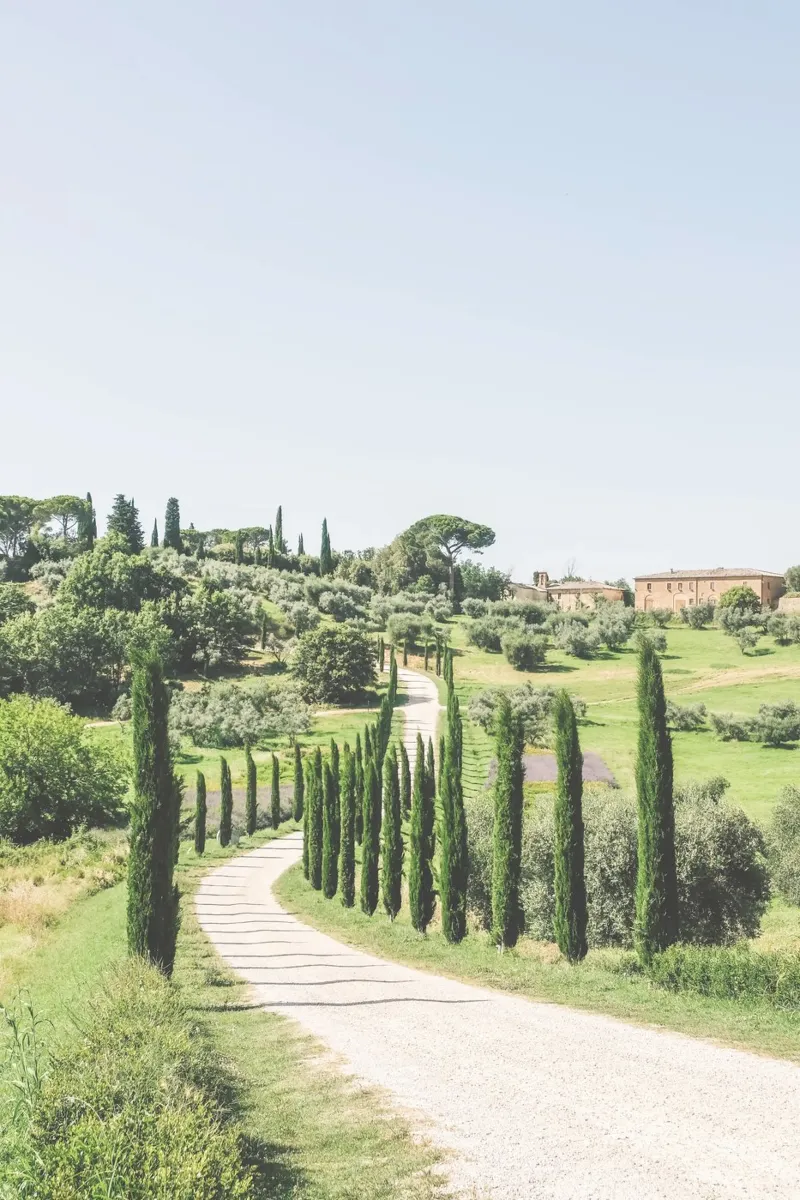 Toscane, Italië I Weg met cipressen in de heuvels poster van Julie Travel Photography