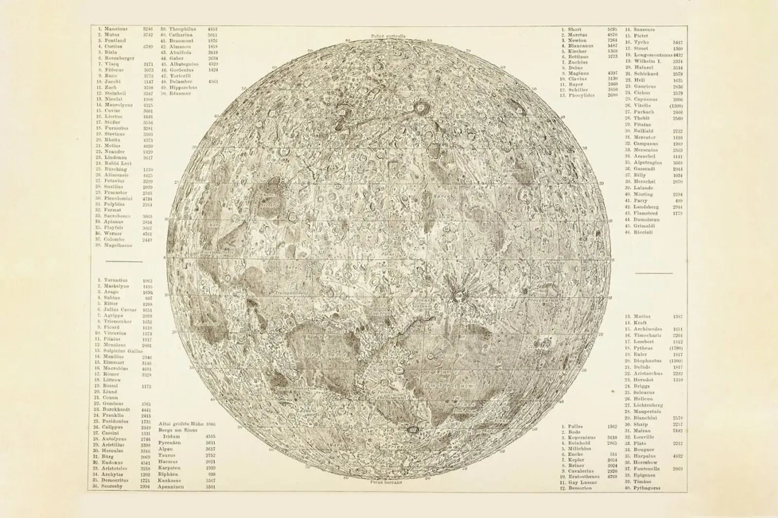 Moon Engraving pellicola backlit da Flora & Fauna