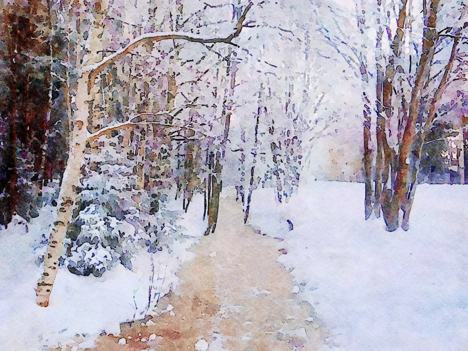 Inverno alluminio dibond da Massimo Frascogna