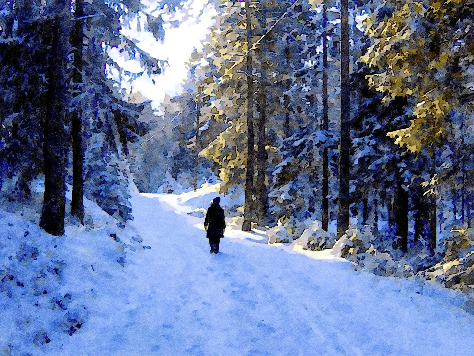Passeggiate invernali pellicola backlit da Massimo Frascogna