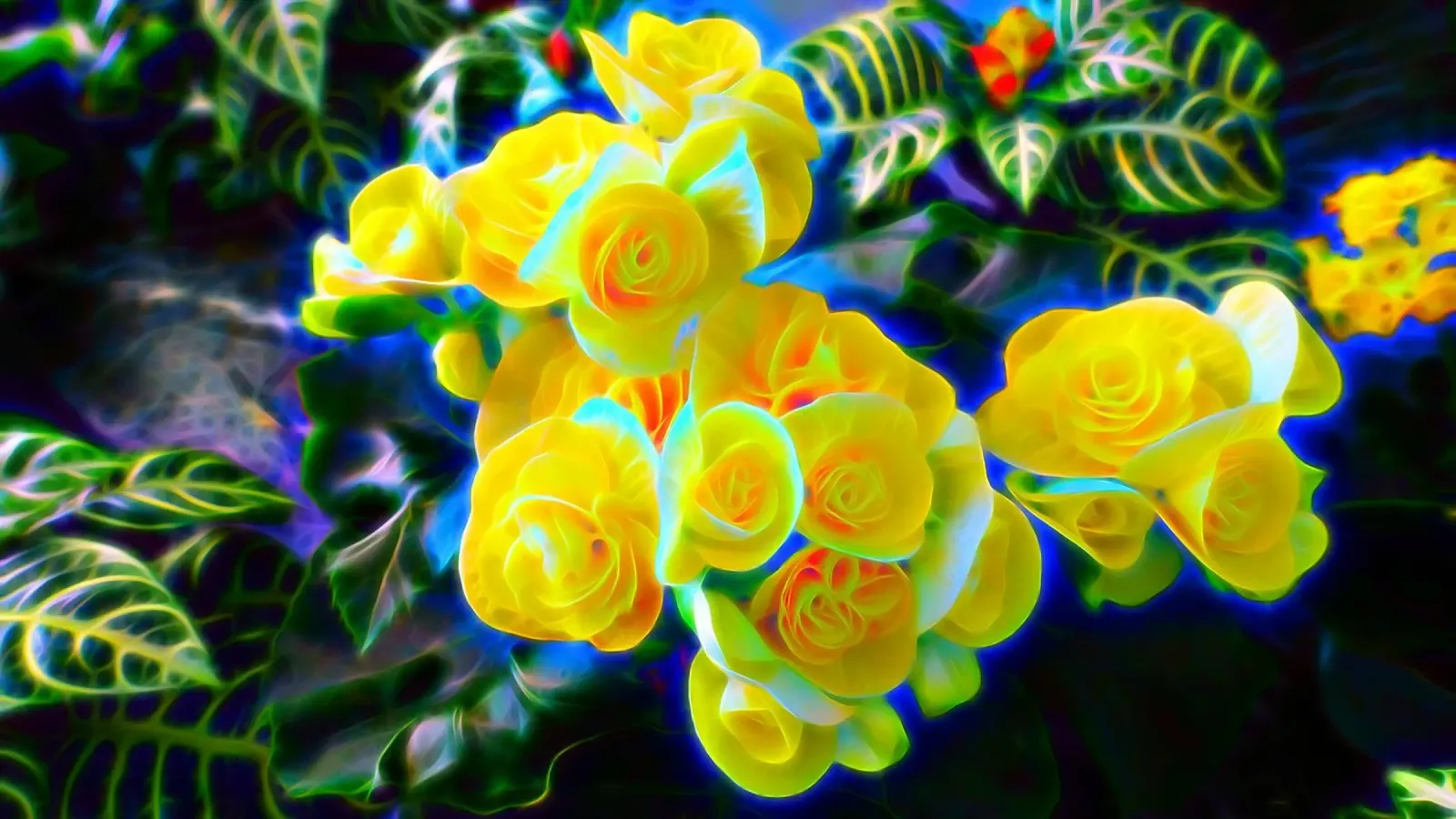 Fiori gialli pellicola backlit da Massimo Frascogna