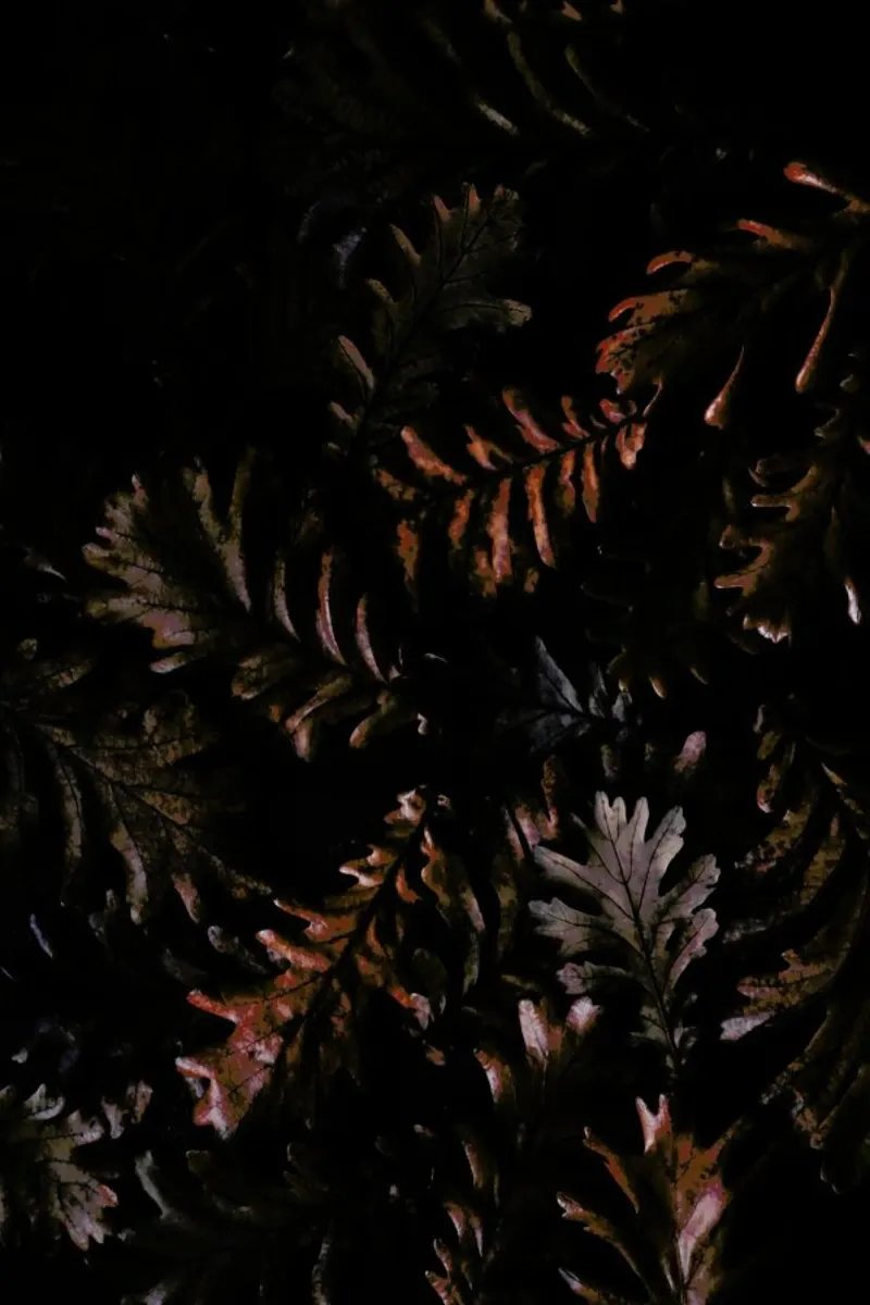 Moody Autumn Leaves pellicola backlit da Studio Nahili