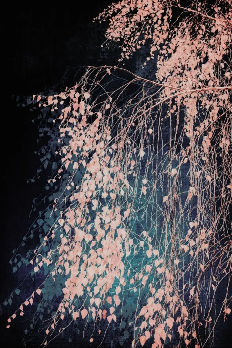 Tree - Birch Whispers Of Dusty Pink canvas by Ingrid Beddoes