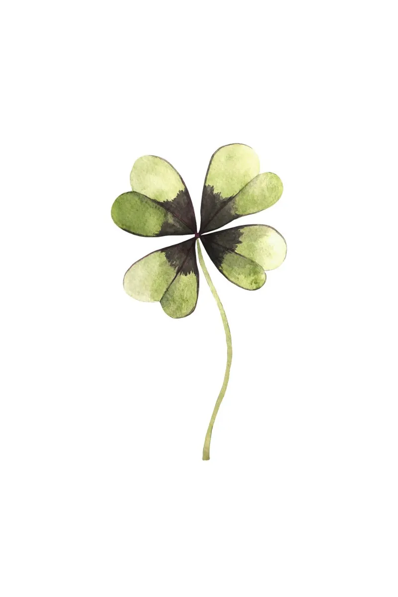 Happy Clover carta hahnemühle da karenmenzenbach