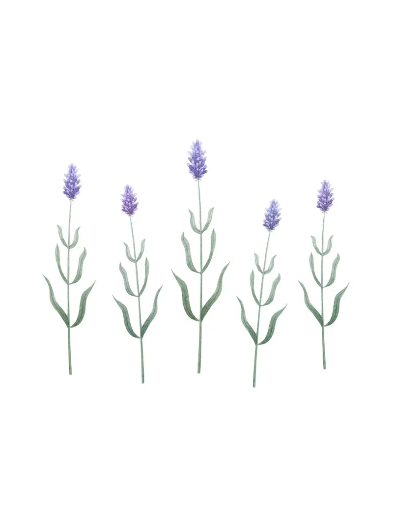 Delicate Blooming Lavender tela con Cornice a cassetta da karenmenzenbach