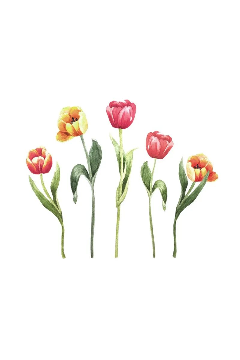 Tulip Friends poster da karenmenzenbach