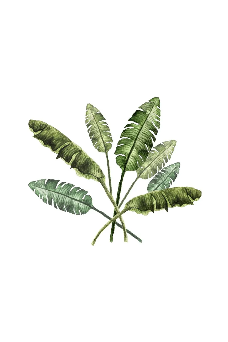 Banana Leaves Bouquet tela con Cornice a cassetta da karenmenzenbach