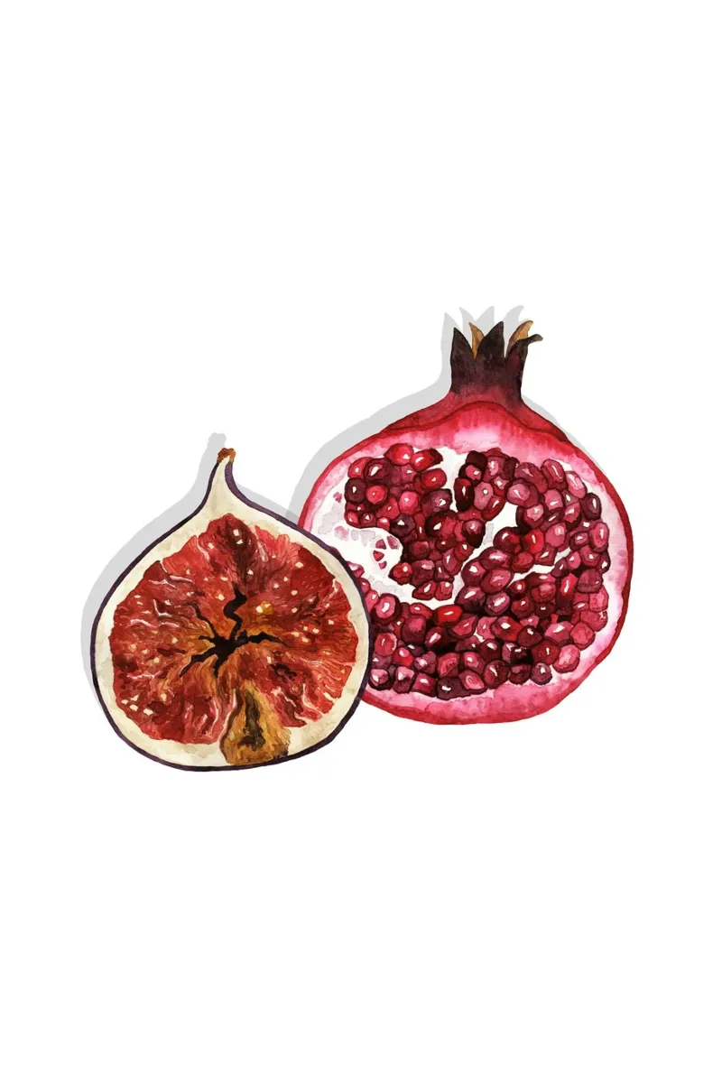 Juicy Fig And Pomegranate plexiglass da karenmenzenbach