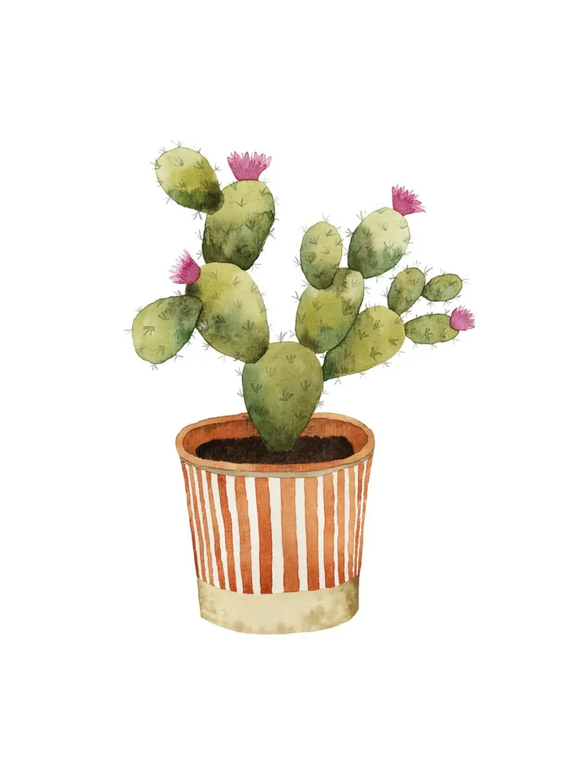 Blooming Potted Cactus plexiglass da karenmenzenbach