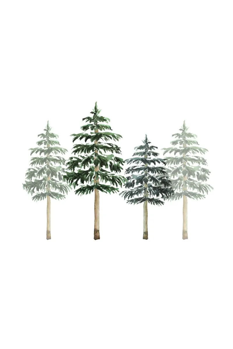 Pine Trees carta hahnemühle da karenmenzenbach