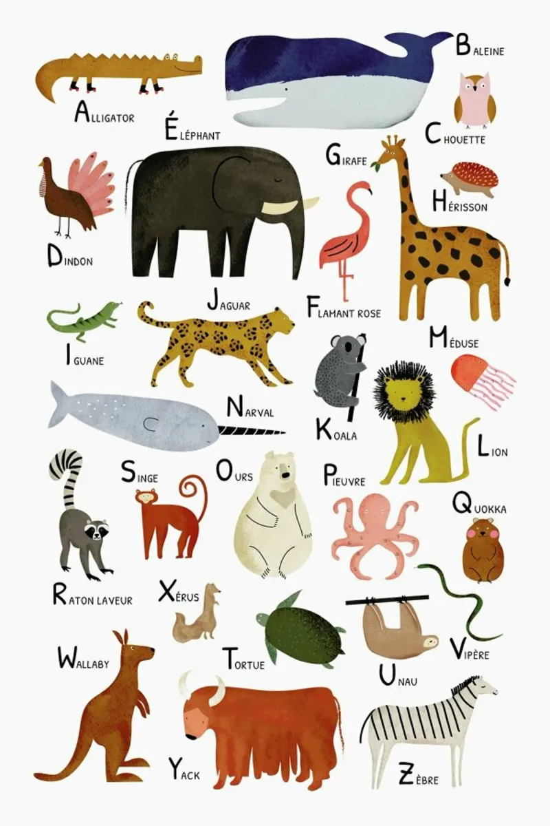 Abécédaire des animaux acrylic glass by Little Flourishes