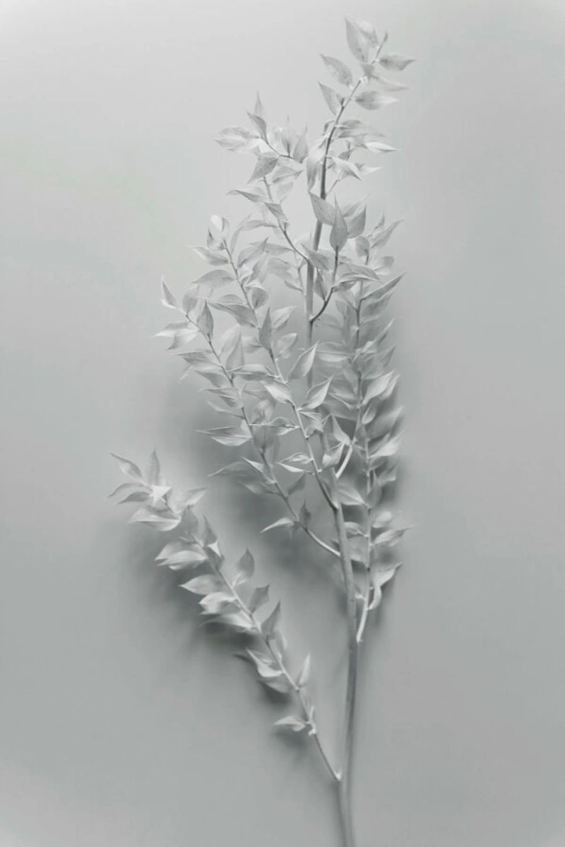 Minimal White Branch pellicola backlit da Studio Nahili