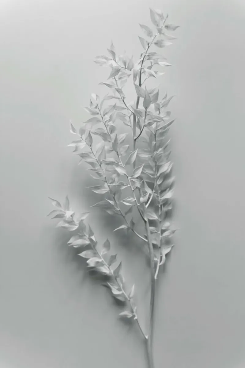 Minimal White Branch carta hahnemühle da Studio Nahili