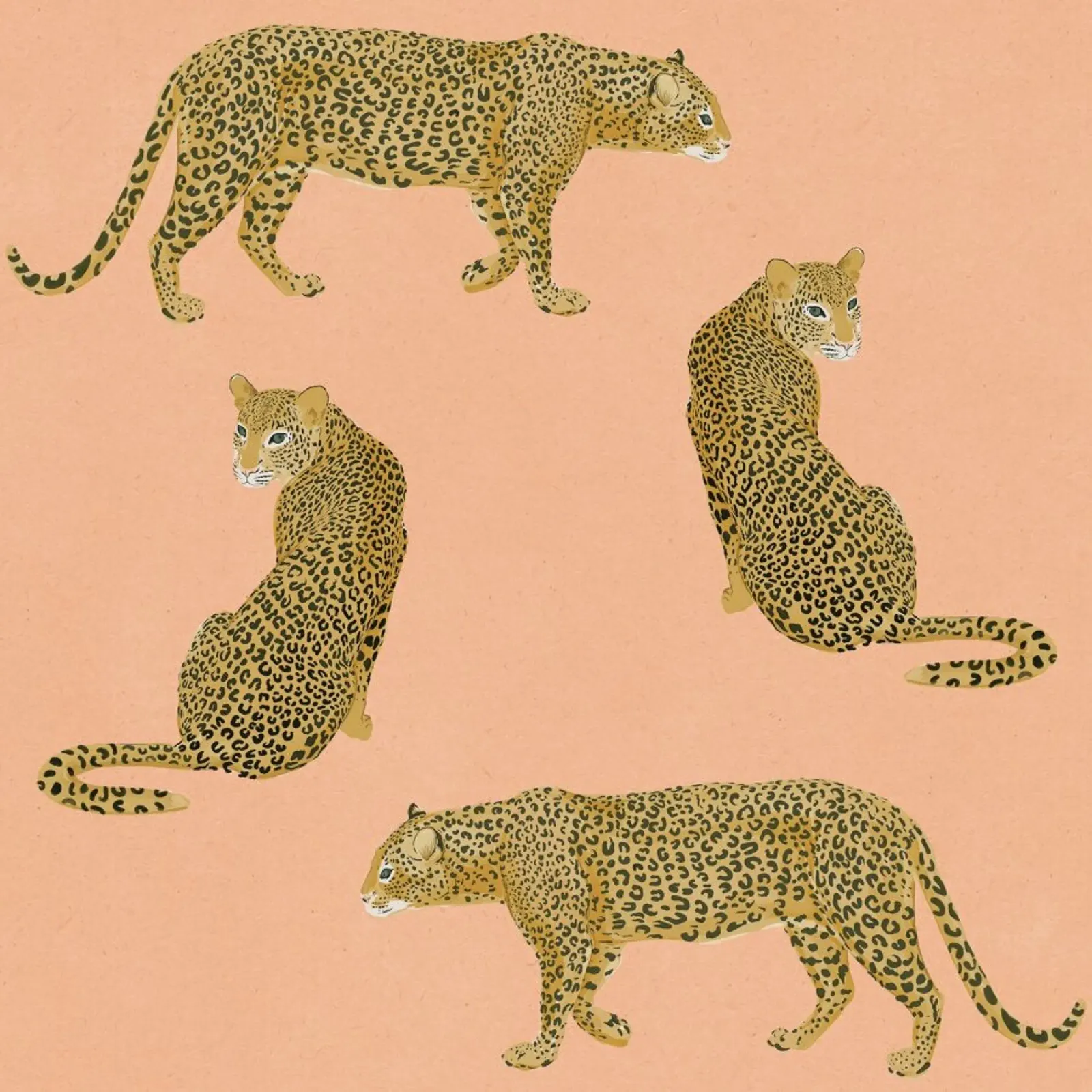 Sunset Leopards pellicola backlit da Laura Graves
