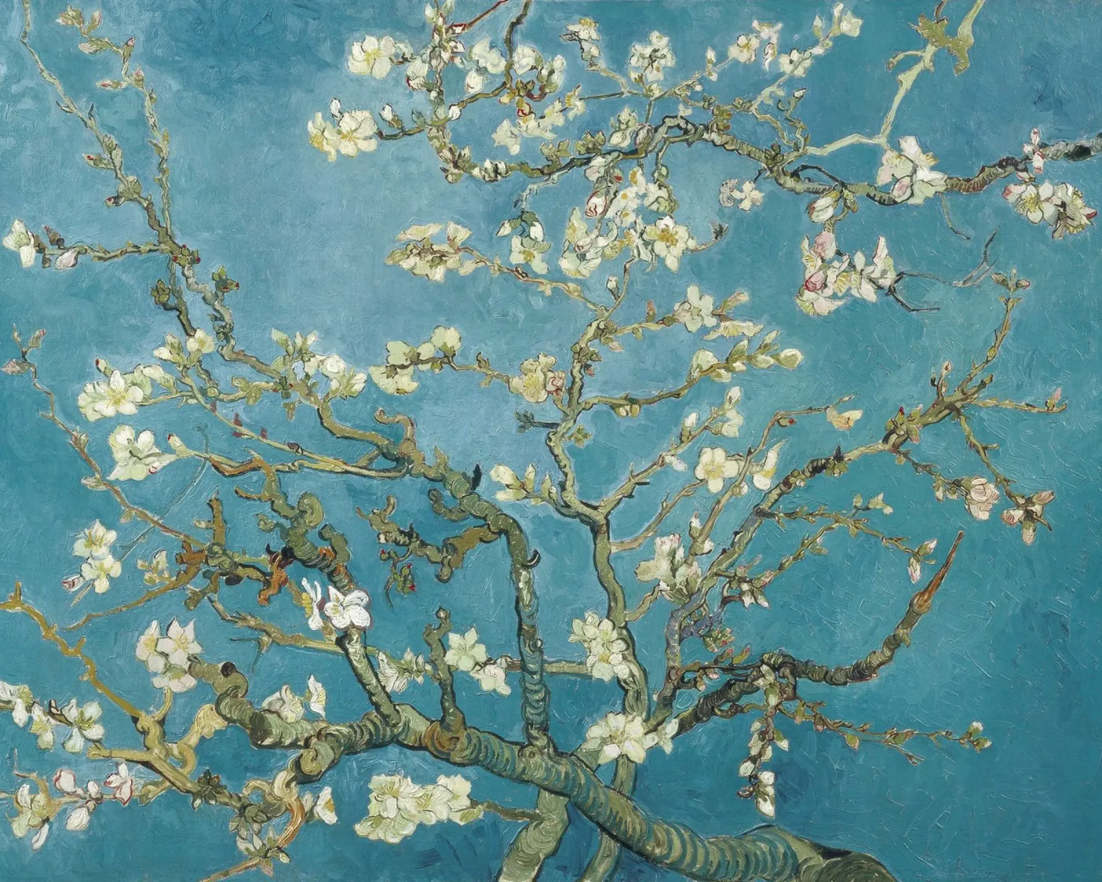 Mandorlo in fiore - Vincent van Gogh poster da Second Canvas