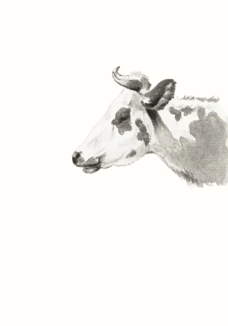 Head of a cow poster da Second Canvas