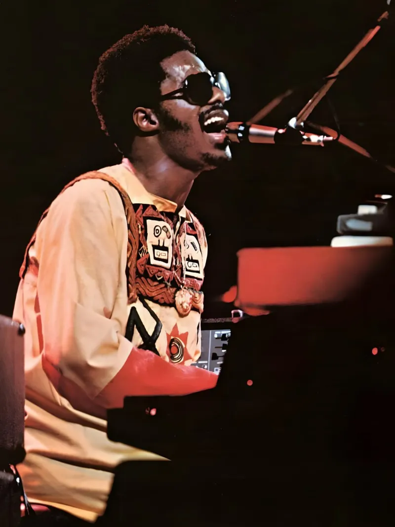 Stevie Wonder alluminio dibond da Low poly art