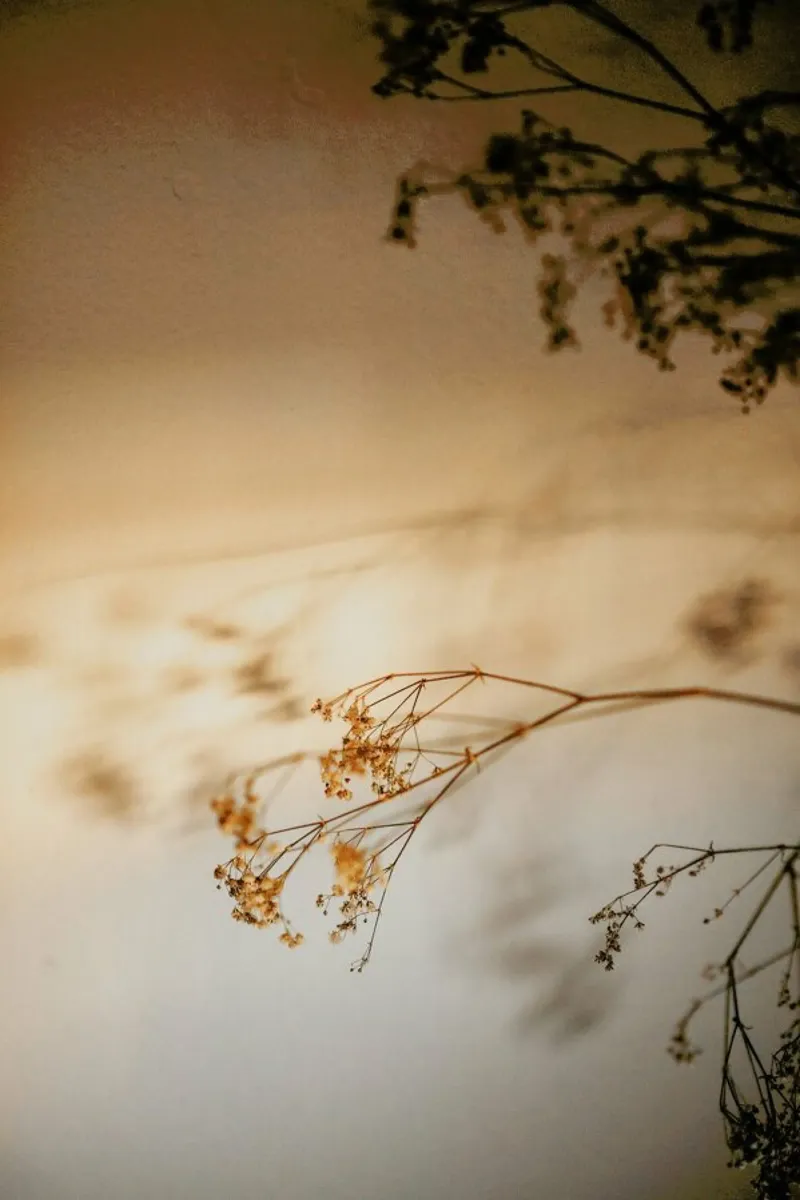 The Autumnal Years @RutaFloral alu dibond de EyeEm Mobile GmbH