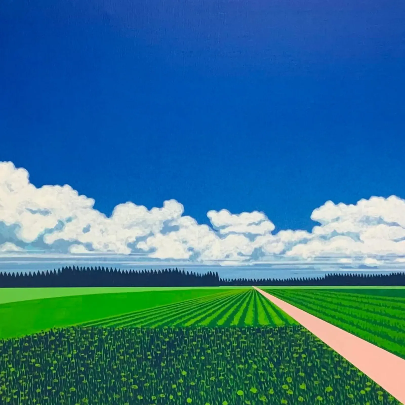 Risaie Hiroshi Nagai pellicola backlit da Perdana shop