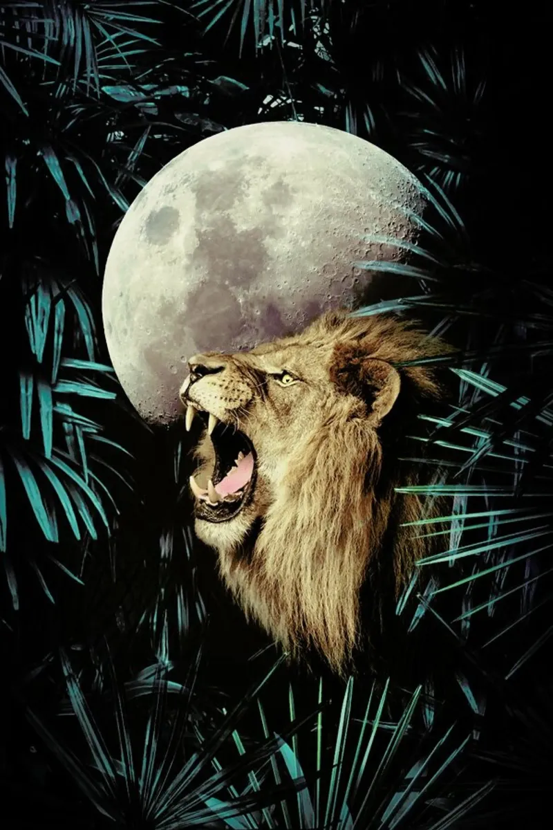 Lion In The Jungle pellicola backlit da cafelab
