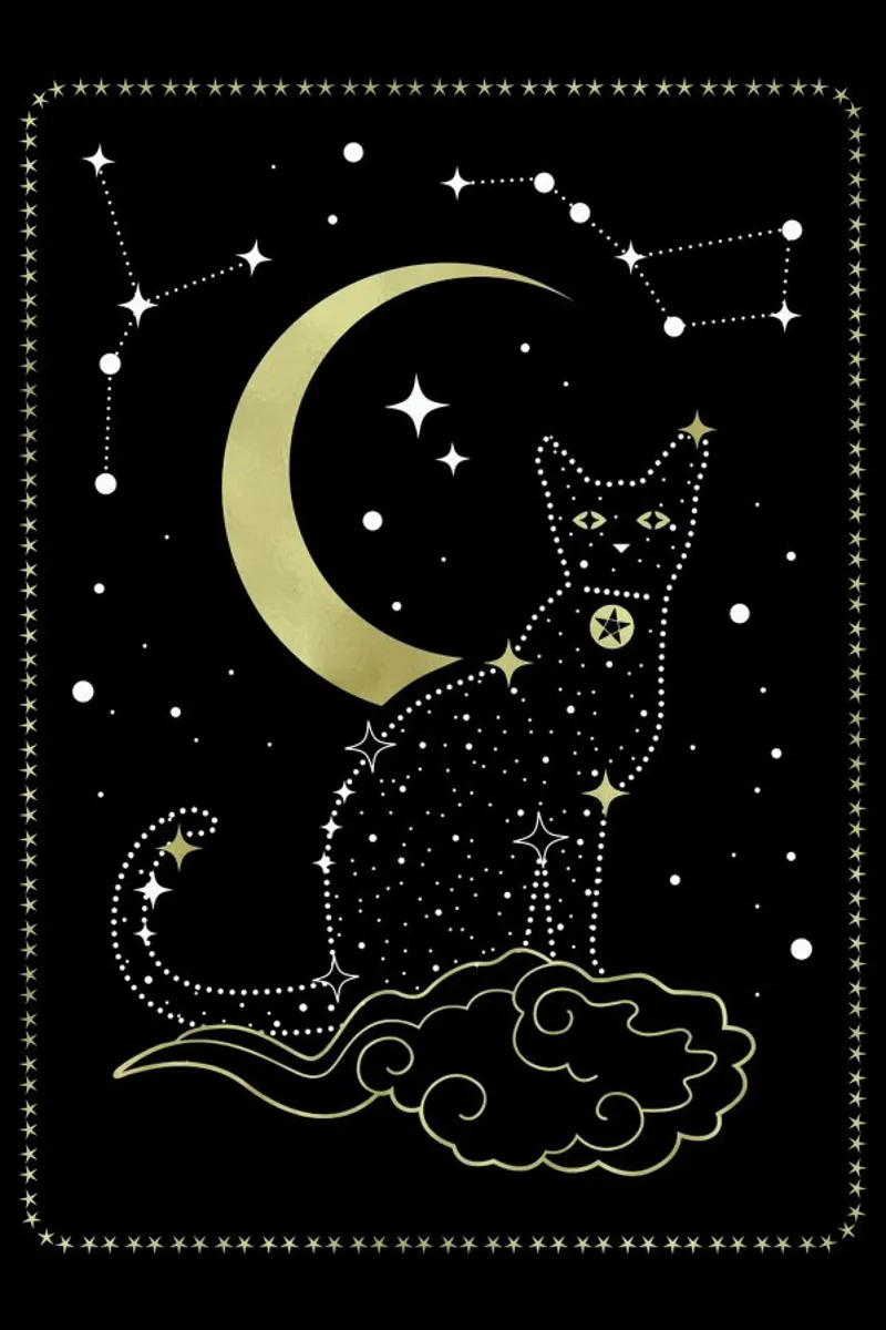 Cat Constellation pellicola backlit da cafelab