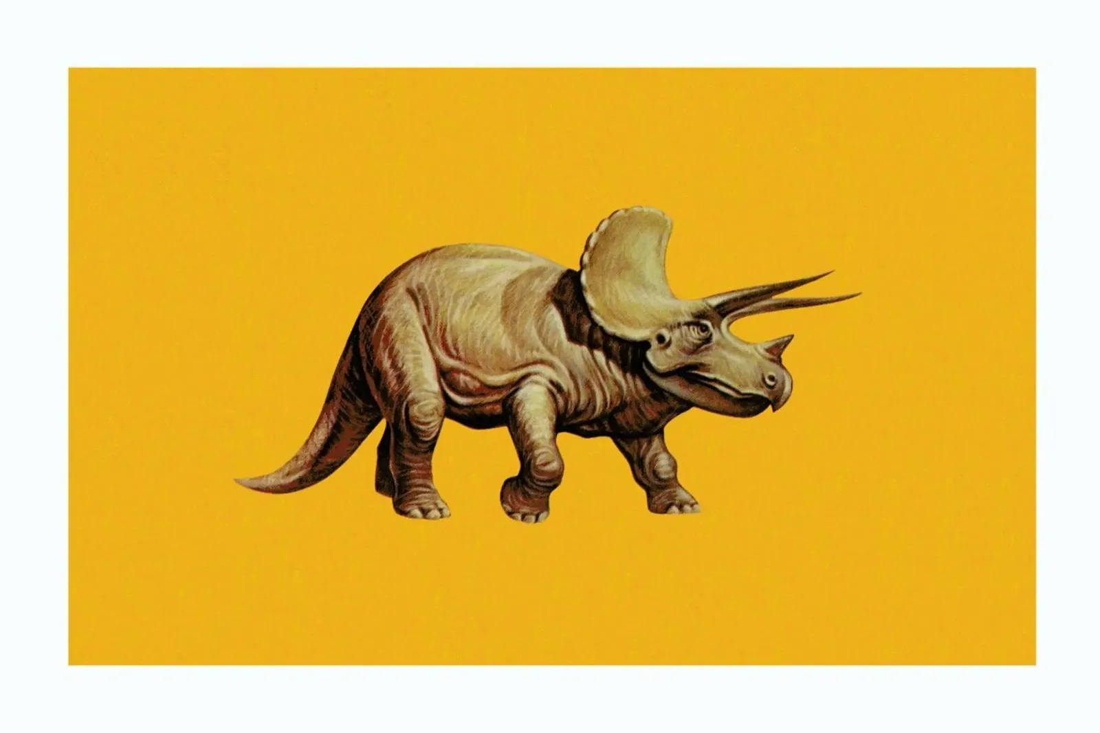 Triceratops pellicola backlit da Flora & Fauna