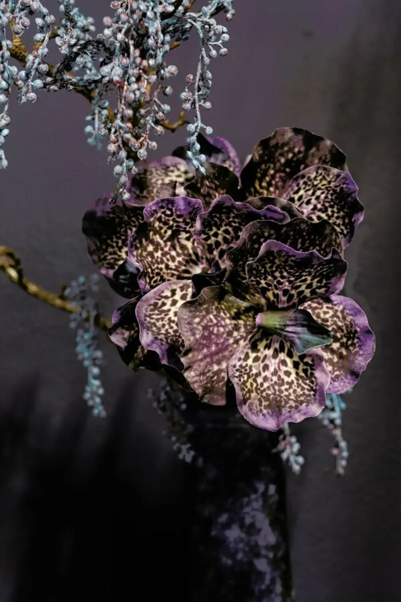 Still Life 1 pellicola backlit da Curious Collections by Marielle Leenders